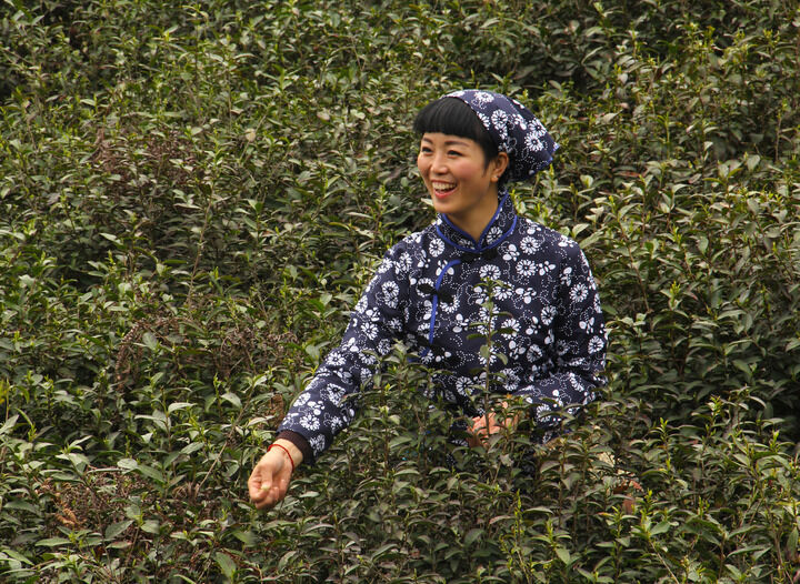 鲸梦热门4